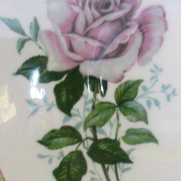 Royal Stafford Tea Cup and Saucer, Lime Green White Rose, Heavy Gold Gilt D111 - Picture 6 of 7